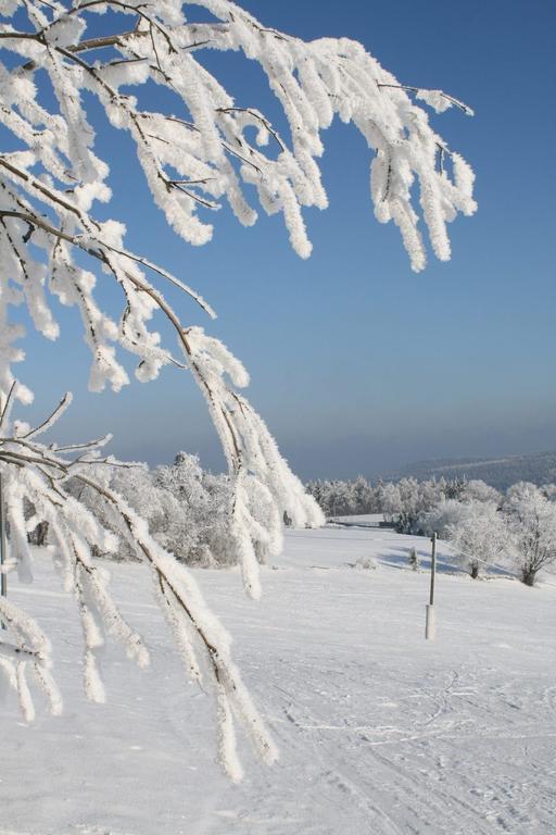 Ferienhaus Am Skihang Altenberg ภายนอก รูปภาพ